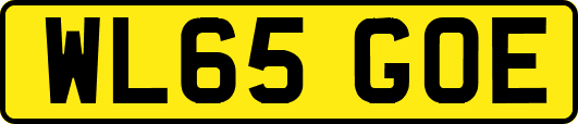 WL65GOE