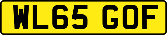 WL65GOF