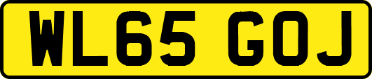 WL65GOJ