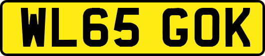 WL65GOK