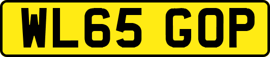WL65GOP