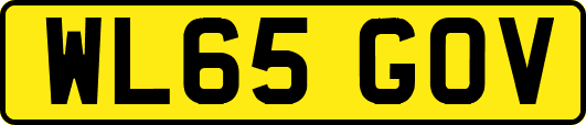 WL65GOV