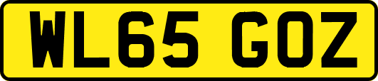 WL65GOZ