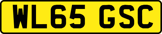 WL65GSC