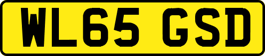 WL65GSD