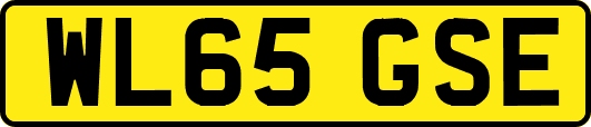 WL65GSE