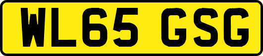 WL65GSG
