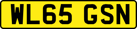 WL65GSN