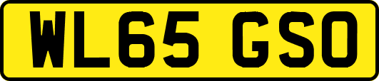 WL65GSO