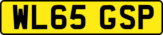 WL65GSP