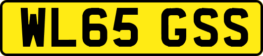 WL65GSS