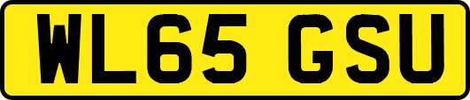 WL65GSU