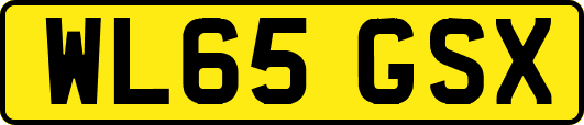 WL65GSX