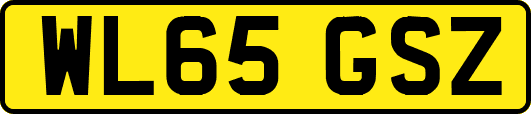 WL65GSZ