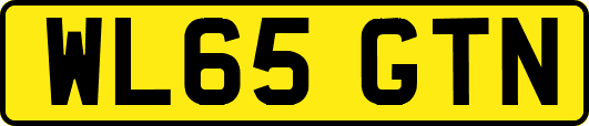 WL65GTN