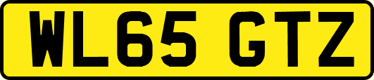 WL65GTZ
