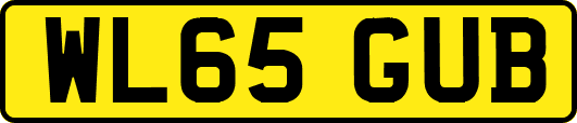 WL65GUB