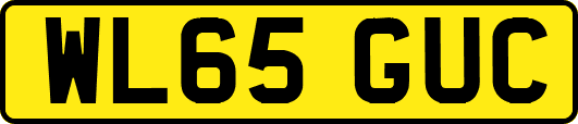 WL65GUC