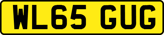 WL65GUG