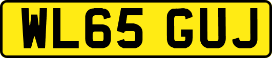 WL65GUJ