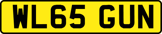 WL65GUN
