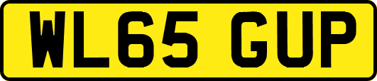 WL65GUP