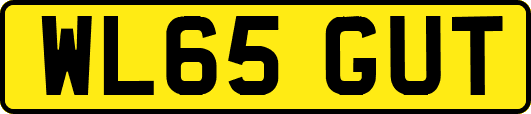 WL65GUT