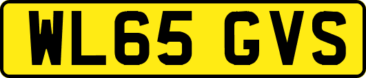WL65GVS