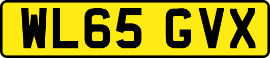 WL65GVX
