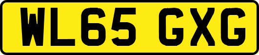 WL65GXG