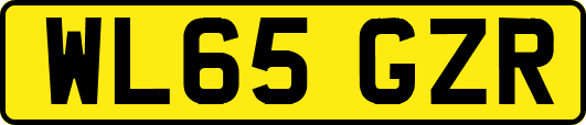 WL65GZR