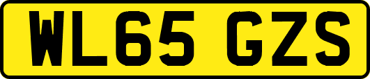 WL65GZS