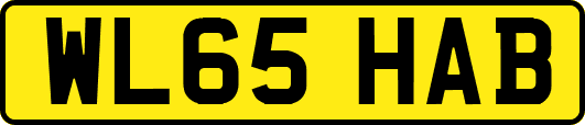 WL65HAB