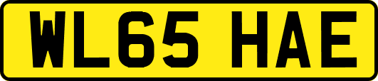 WL65HAE