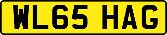WL65HAG