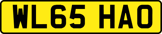 WL65HAO