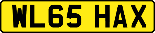 WL65HAX