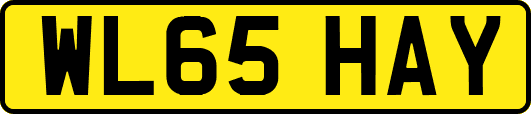 WL65HAY