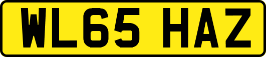 WL65HAZ