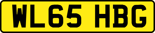 WL65HBG