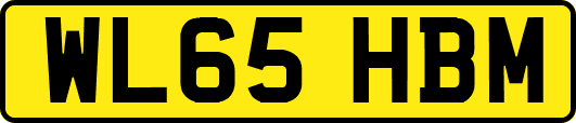 WL65HBM