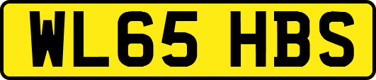 WL65HBS