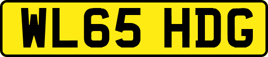 WL65HDG