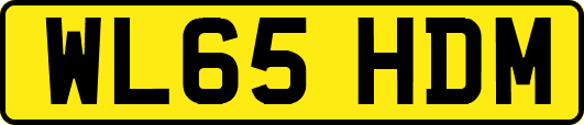 WL65HDM