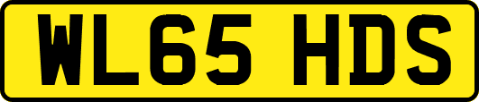 WL65HDS