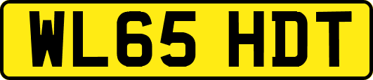 WL65HDT