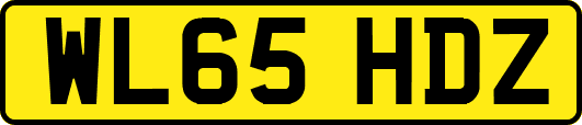 WL65HDZ