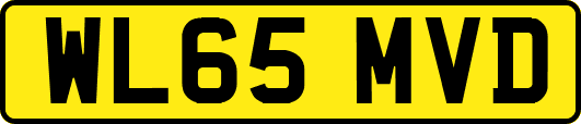 WL65MVD