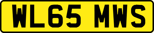 WL65MWS