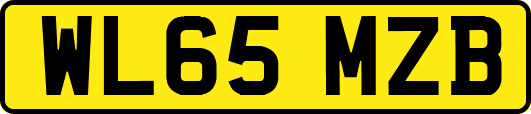 WL65MZB